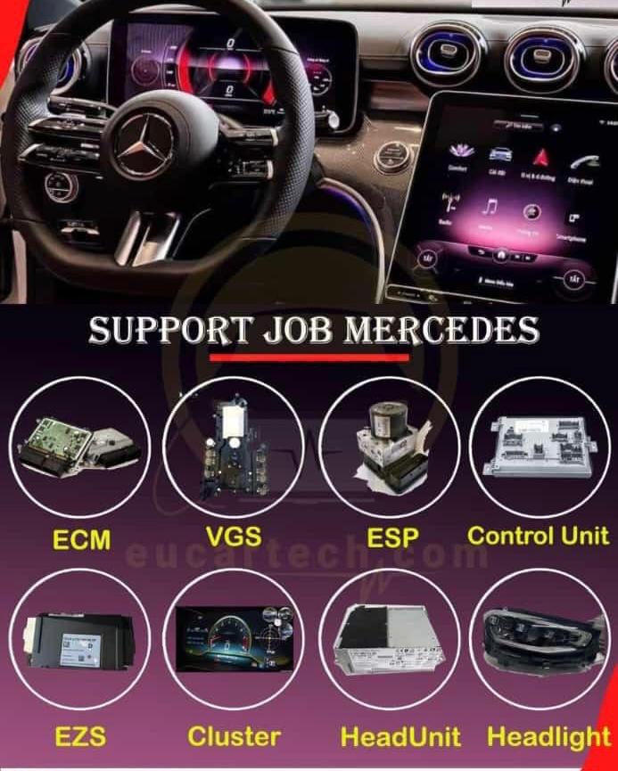 Mercedes Star Diagnostics Service